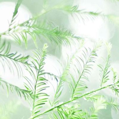 逍遥天地ol手游变态版下载
